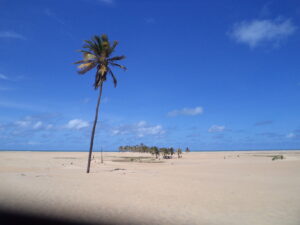 Leia mais sobre o artigo Praia de Arambipe