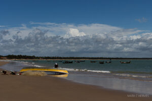 Leia mais sobre o artigo Praia do Peba