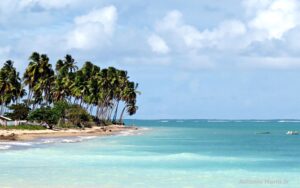 Leia mais sobre o artigo Praia do Patacho – Rota Ecológica dos Milagres