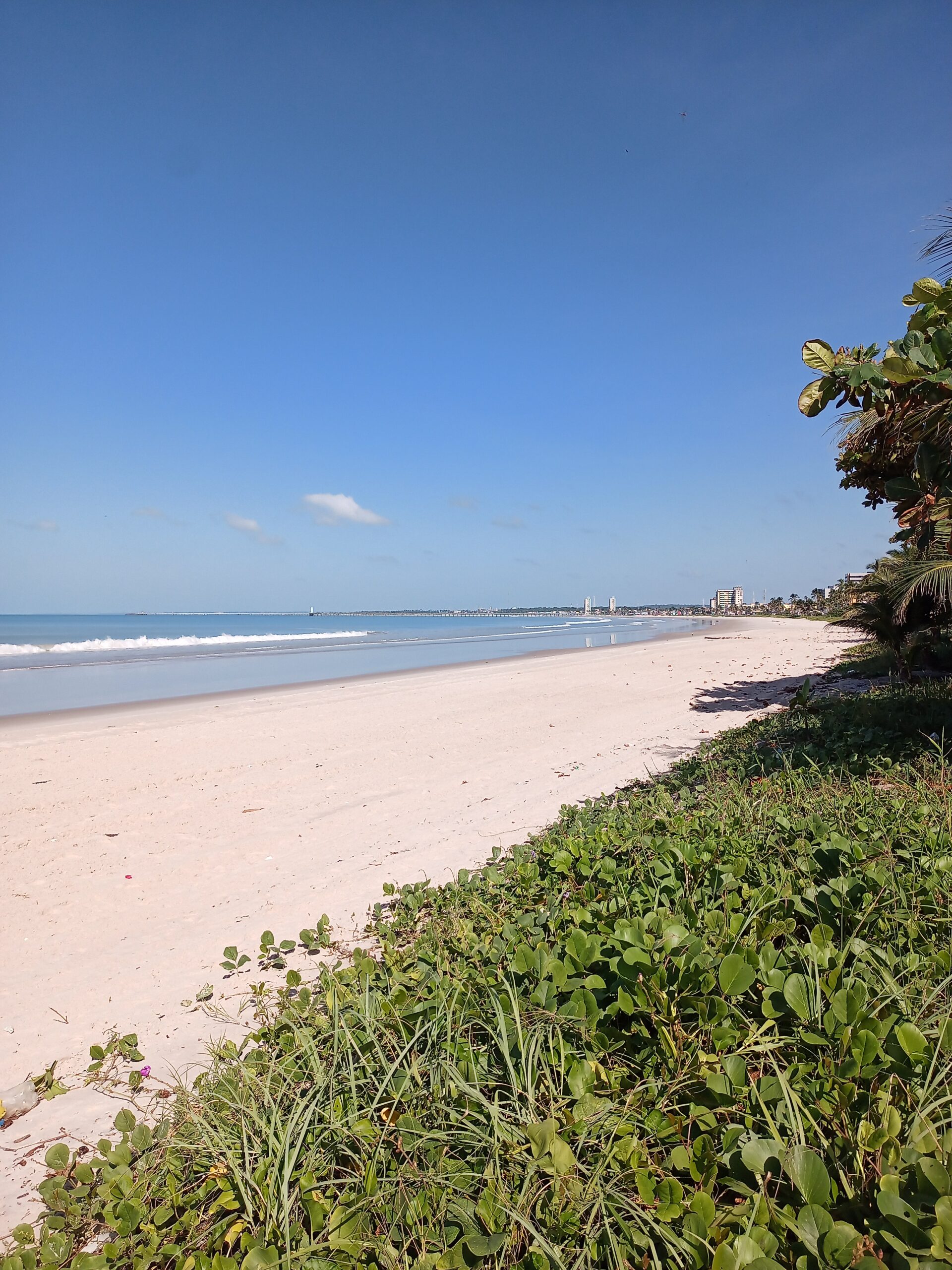 No momento, você está visualizando Praia da Avenida