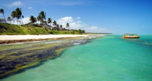 Leia mais sobre o artigo Praia de Riacho Doce