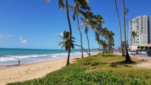 Leia mais sobre o artigo Jacarecica do Sul