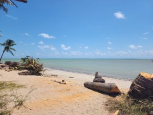 Leia mais sobre o artigo Praia Tatuamunha