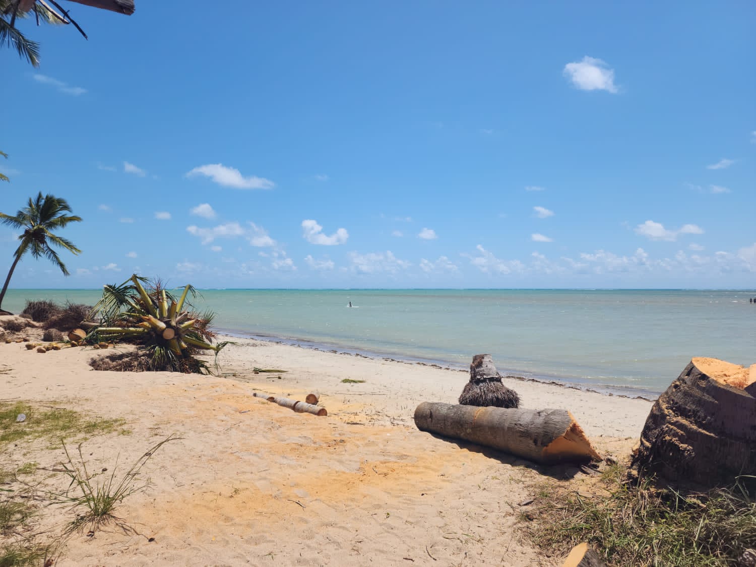 No momento, você está visualizando Praia Tatuamunha