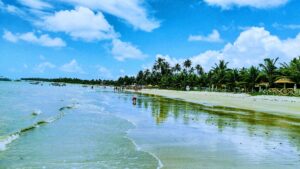 Leia mais sobre o artigo Praia Peroba