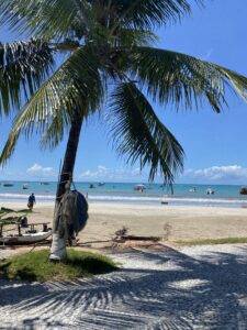 Leia mais sobre o artigo Praia São Bento