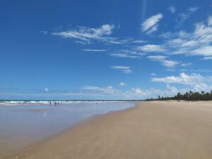 Leia mais sobre o artigo Praia do Toco