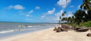 Leia mais sobre o artigo Praia da Barra Grande
