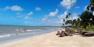 Praia da Barra Grande