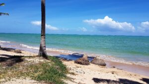 Leia mais sobre o artigo Praia de Tatuamanha – Rota Ecológica dos Milagres