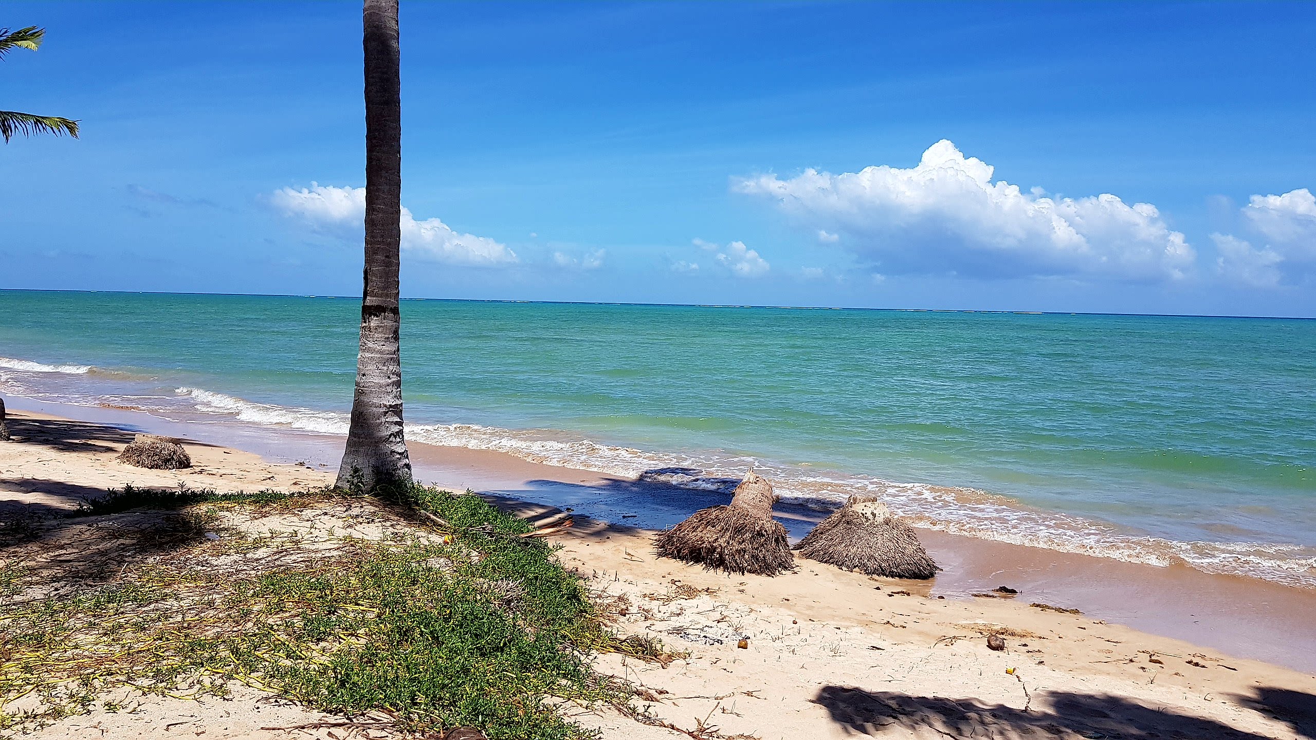 No momento, você está visualizando Praia de Tatuamanha – Rota Ecológica dos Milagres