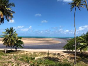 Leia mais sobre o artigo Praia Do Camacho