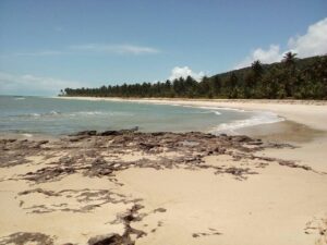 Leia mais sobre o artigo Praia de Pituba