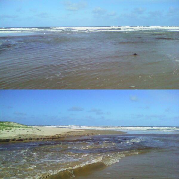 No momento, você está visualizando Praia do Poco