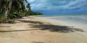 Praia da Barra de Camaragibe