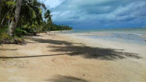 Leia mais sobre o artigo Praia da Barra de Camaragibe