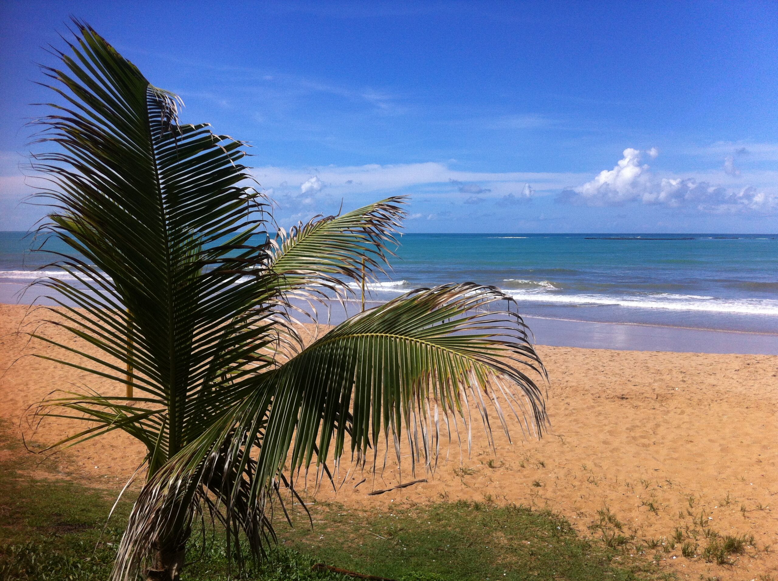 No momento, você está visualizando Praia de Pajuçara