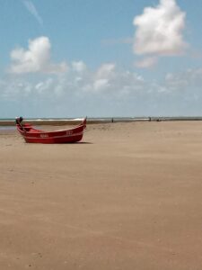 Leia mais sobre o artigo Praia de Flexeira
