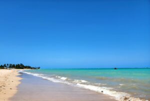 Leia mais sobre o artigo Praia de Maragogi