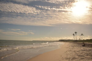 Leia mais sobre o artigo Praia coruripe