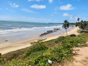 Leia mais sobre o artigo Praia de Japaratinga